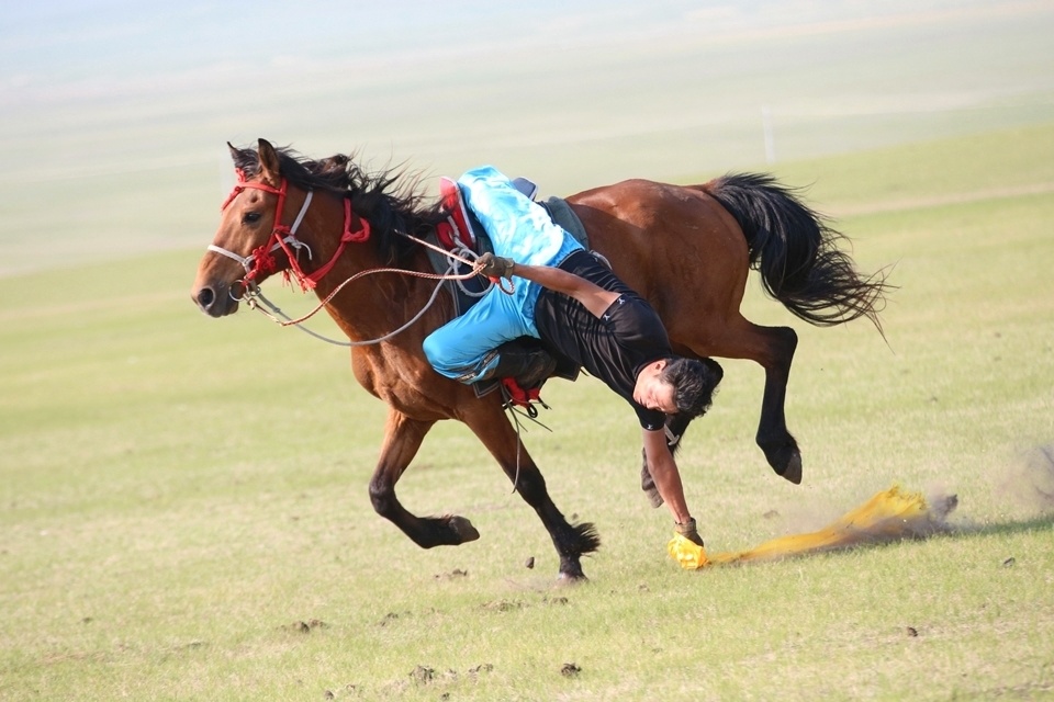 特色草原骑马体验比赛，感受民族风情