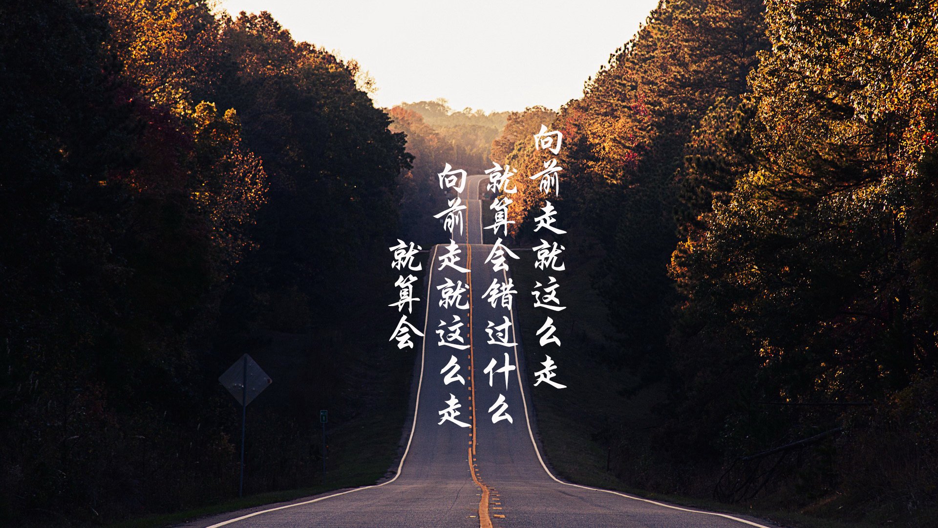 伊朗马术协会举办马匹护理培训班，提高骑手护理技能。，伊朗电影 马