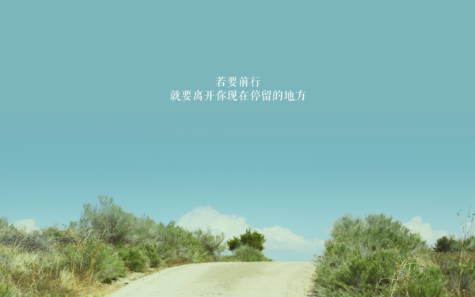 球迷故事：他们的支持让球队更有力量，球迷们正在为队员们加油鼓劲