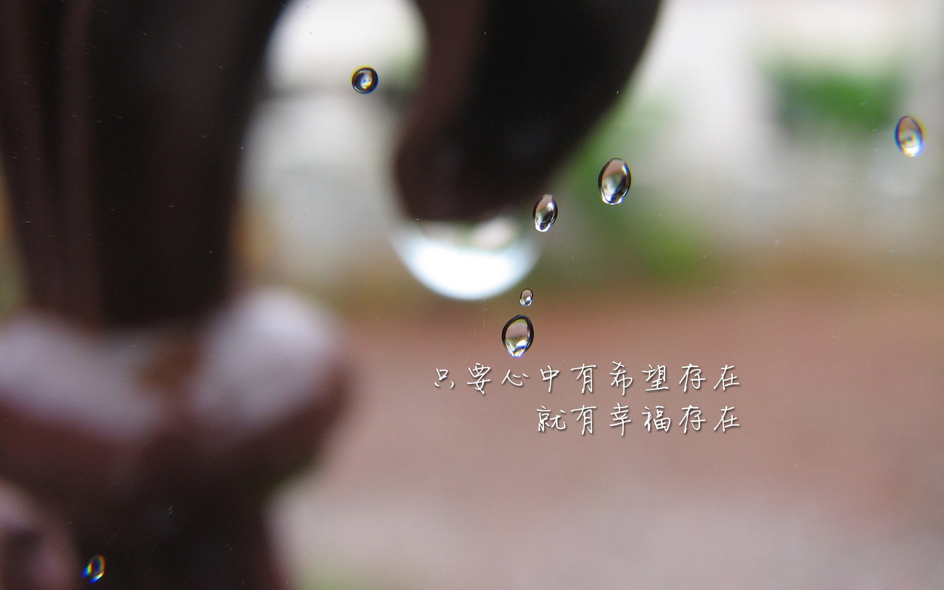 利兹联卫冕冠军，稳定发挥保持领先！，利兹联 jd