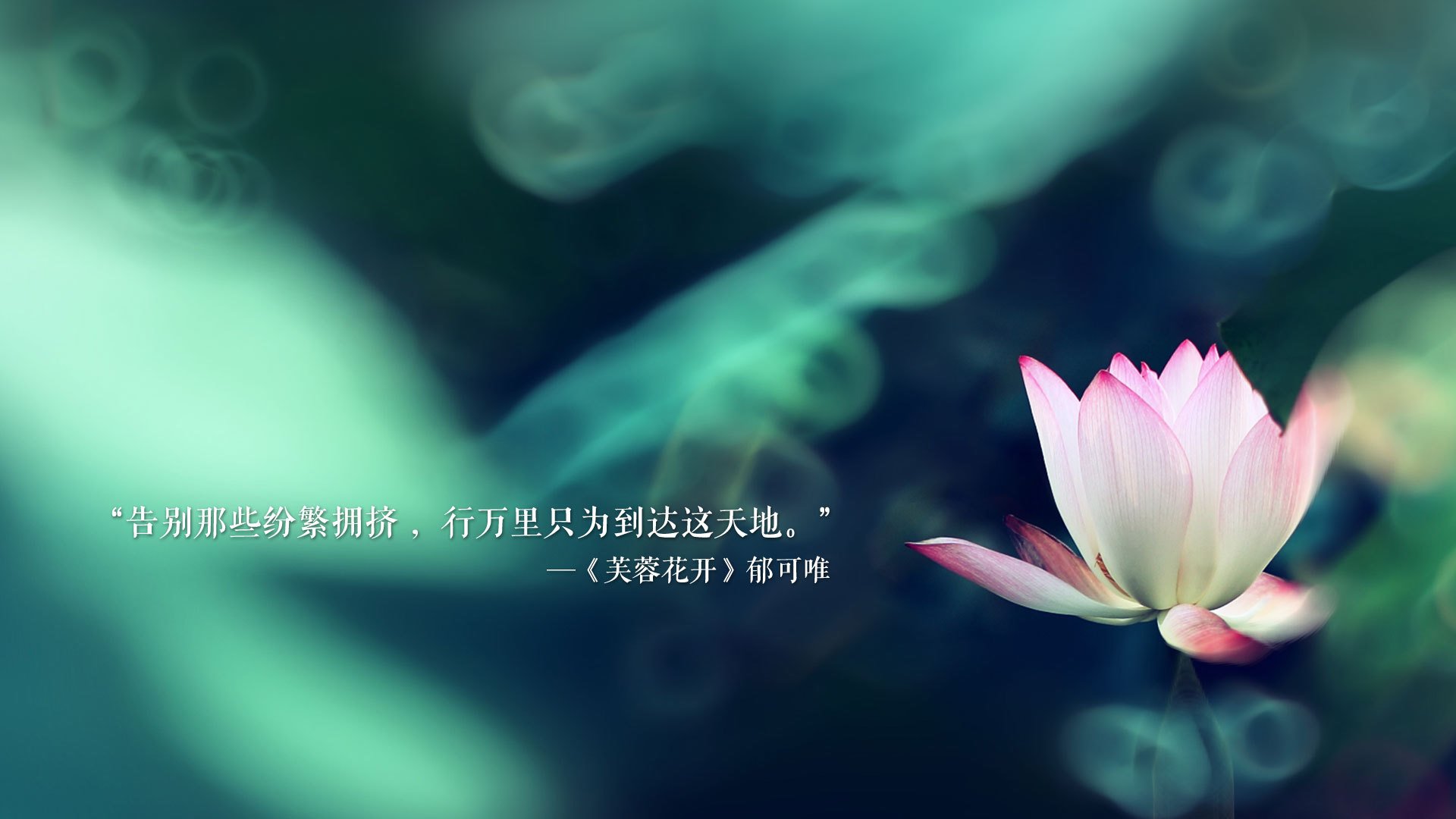 卡利亚里是否应加强本土球员培养力度，卡利亚里新球衣