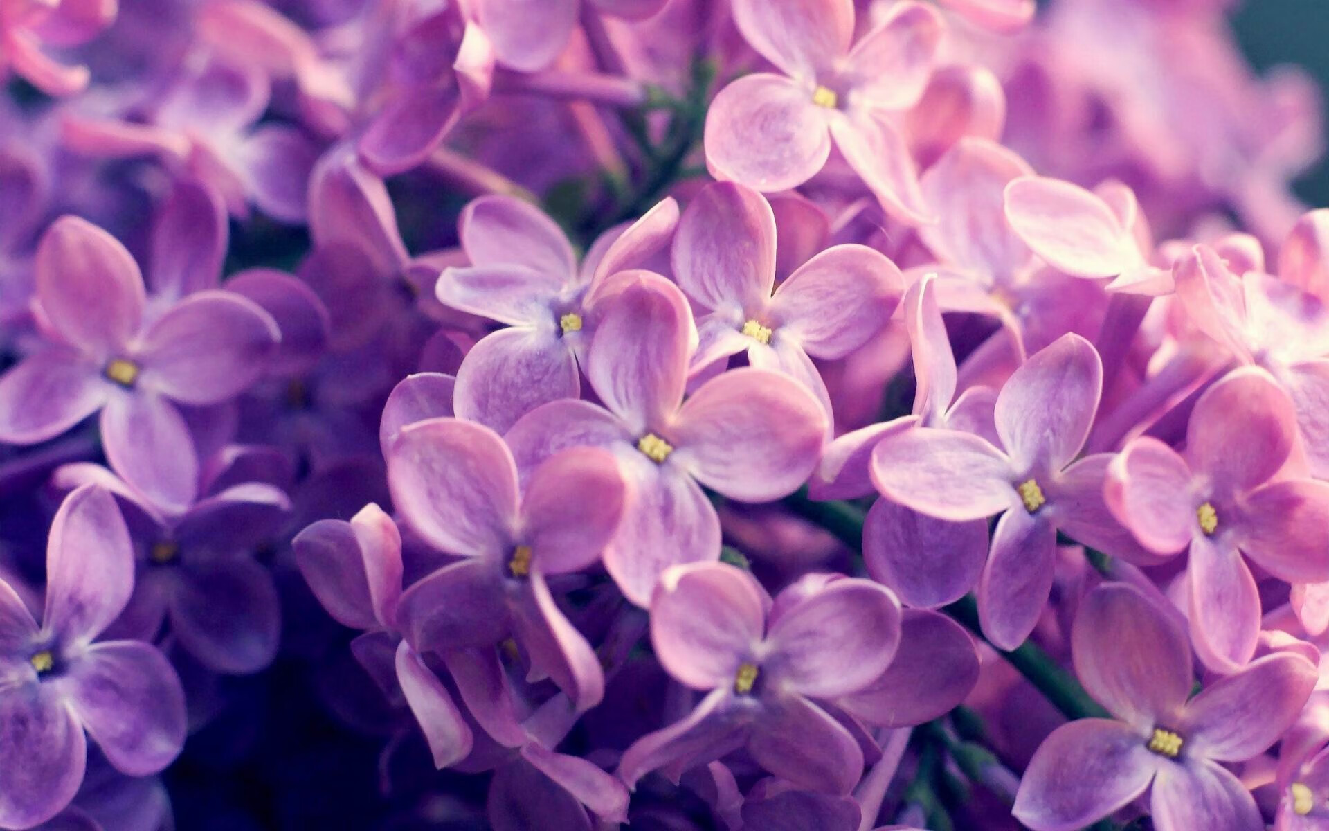 2024国际乒联混合团体世界杯赛制调整一览，2020国际乒联团体世界杯