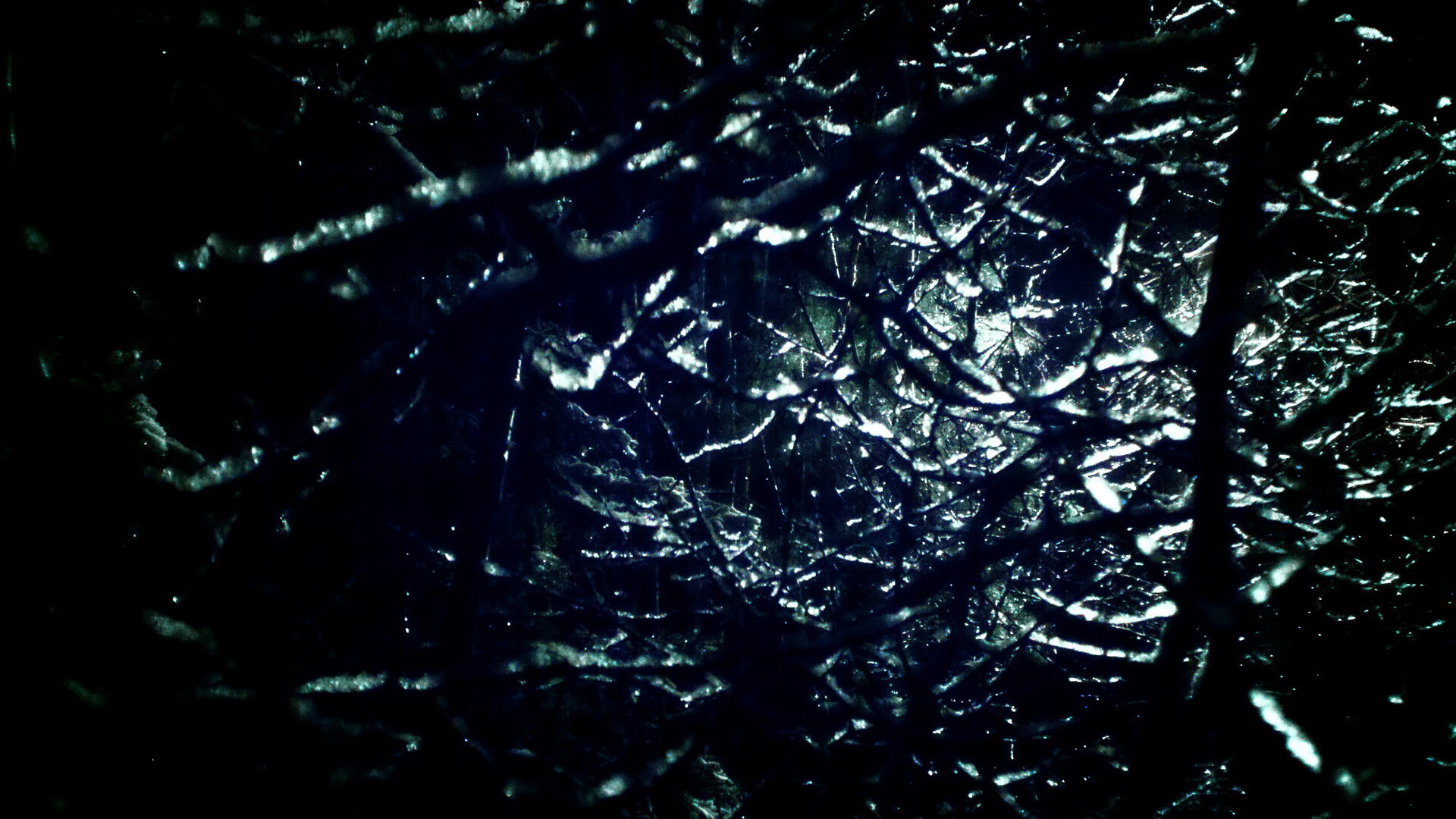 北京鸭全队士气高涨备战新赛季，北京鸭百度百科