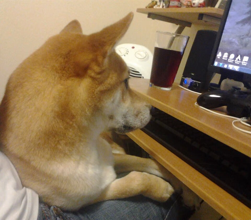 AYX GAMING-职业联赛观赛体验未实现全媒体互动化，职业联赛视频