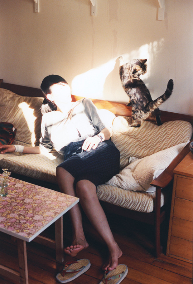 韩国乒乓队崛起，韩国乒乓复兴之路，韩国乒乓实力