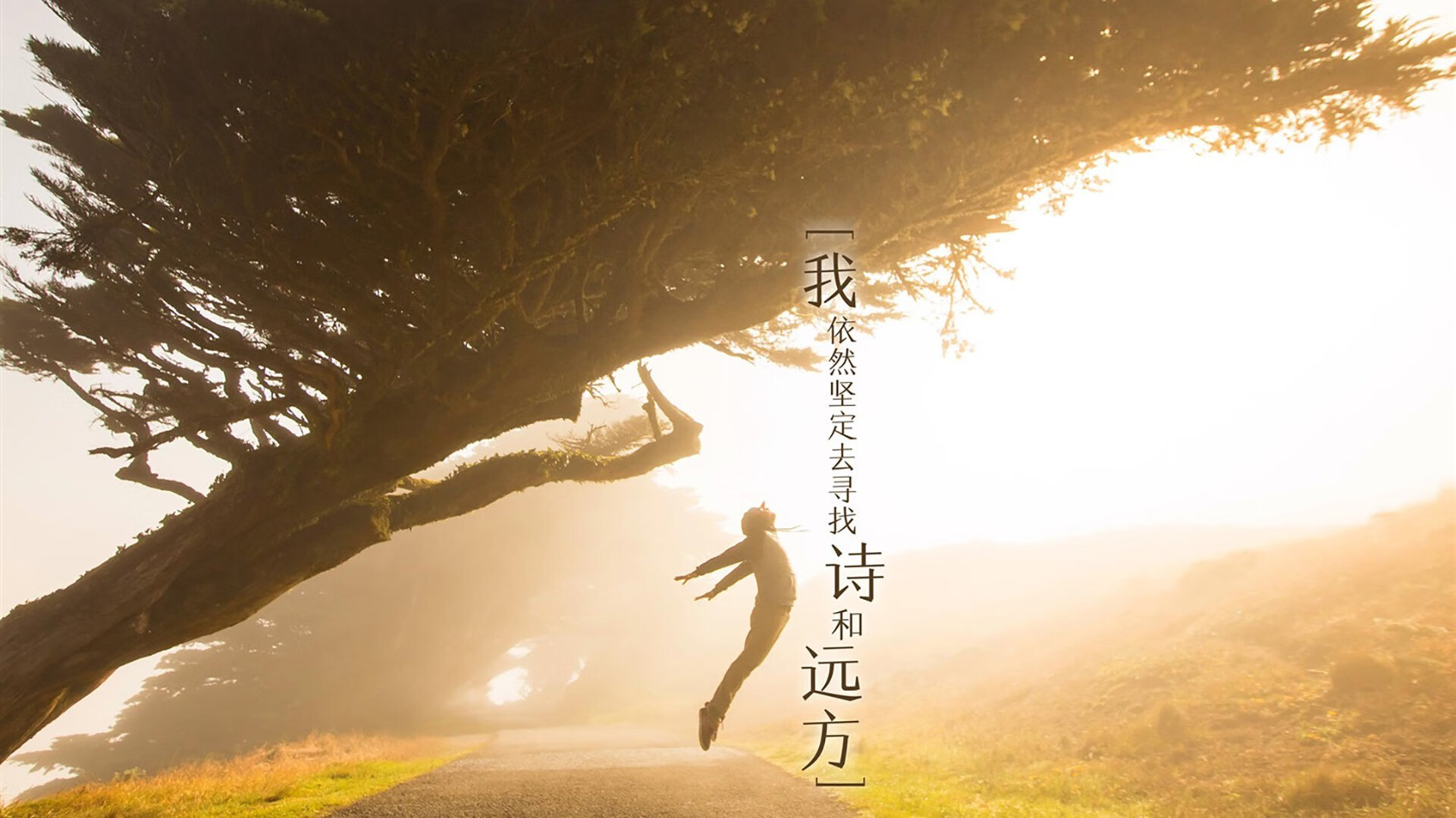 勇士控球失误偏多险些被逆转,勇士控卫有哪些