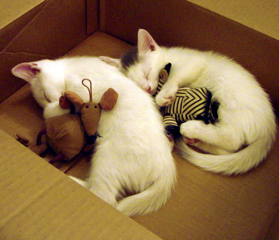 爱游戏娱乐-欧洲杯决胜瞬间：战术变革中的大逆转，欧洲杯决赛争议