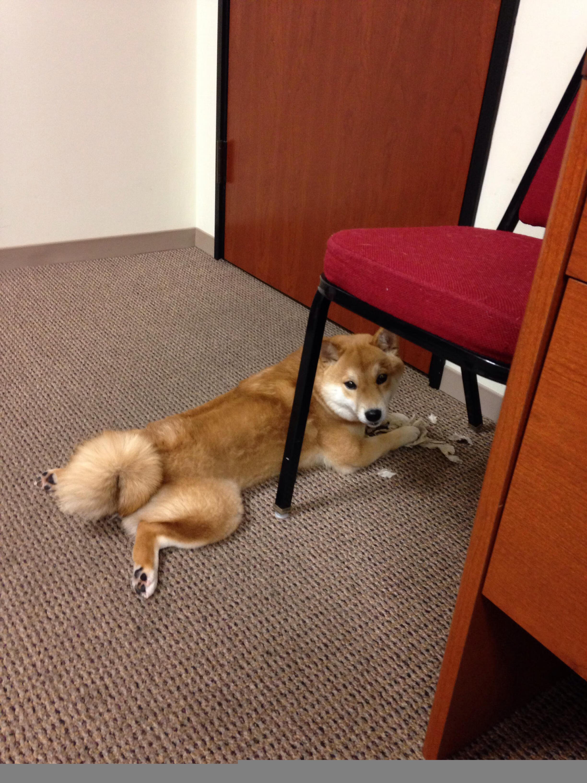 爱游戏体育官方网站-特斯·冯·迪克：以全能中场的身份，帮助南非队打破对方防线，冯斯特拉克 双子