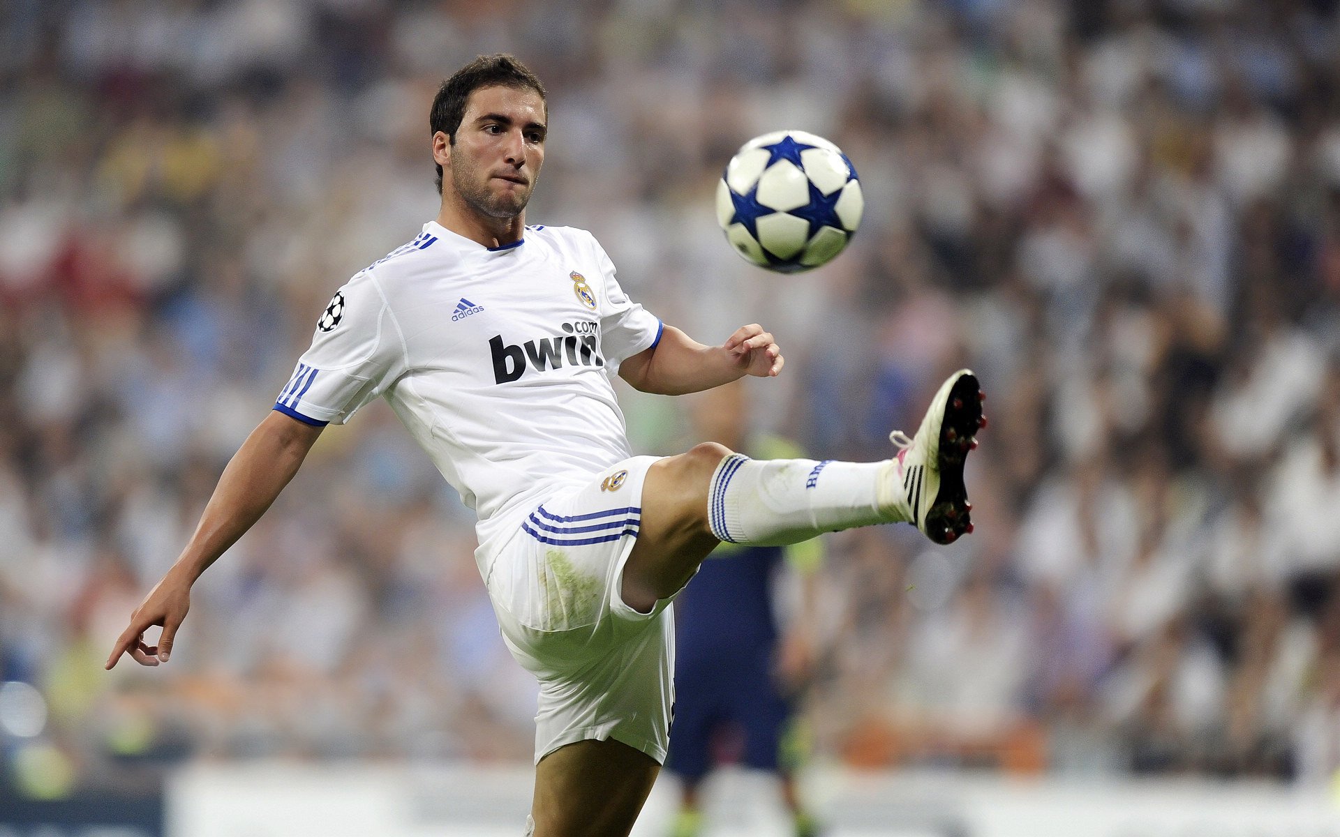 AYX GAME-德甲联赛中球队战术演变引发热议，德甲队伍介绍